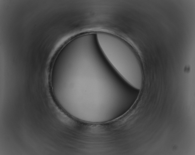 X0000090411416200707130915