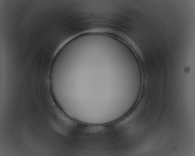 X0000090411417200707130915