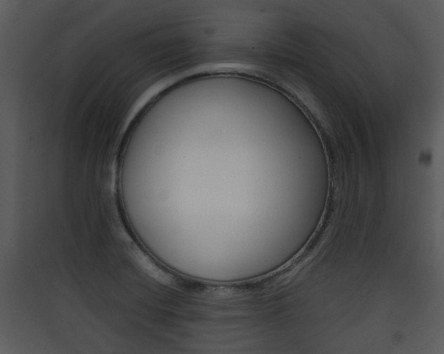 X0000090411420200707130915
