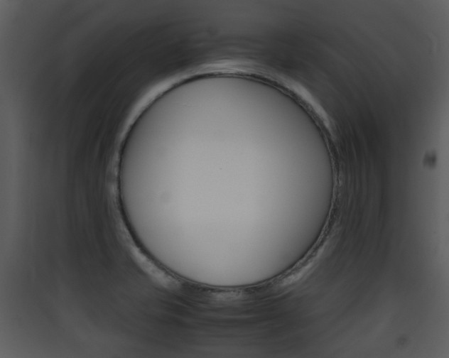 X0000090411421200707130915