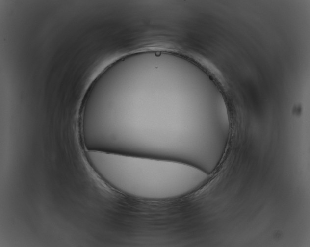 X0000090411423200707130915