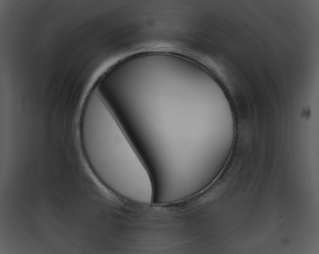 X0000090411424200707130915