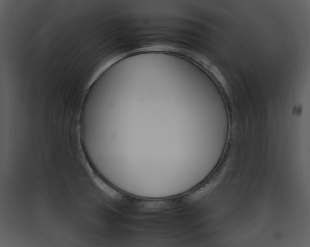 X0000090411425200707130915