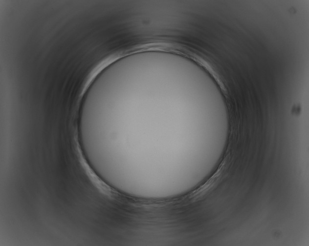 X0000090411426200707130915