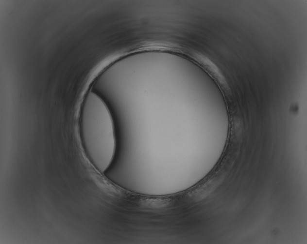 X0000090411427200707130915