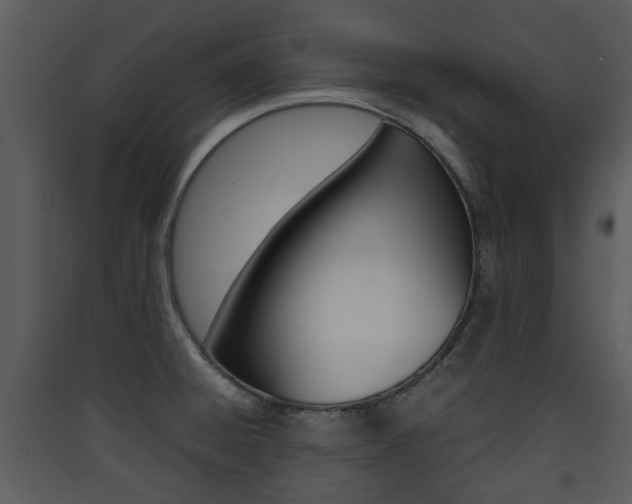 X0000090411428200707130915