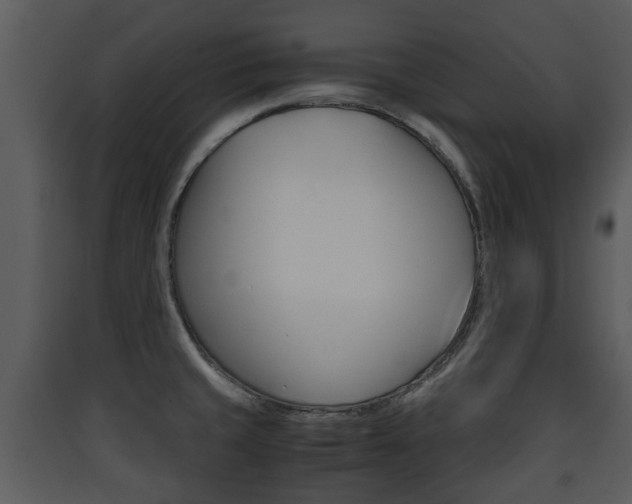 X0000090411429200707130915