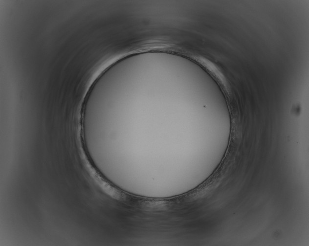X0000090411431200707130916