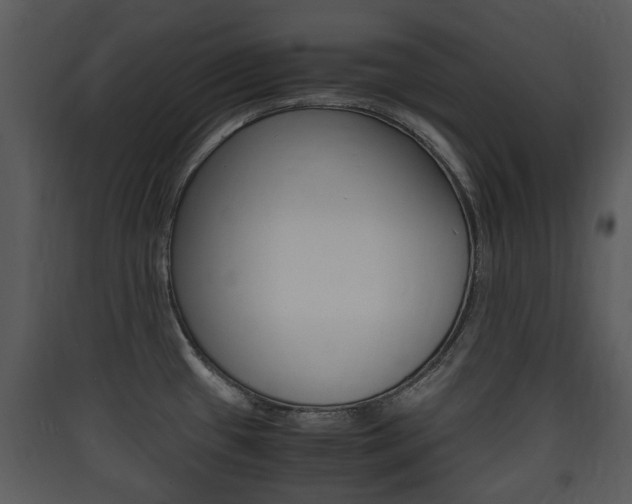 X0000090411433200707130916
