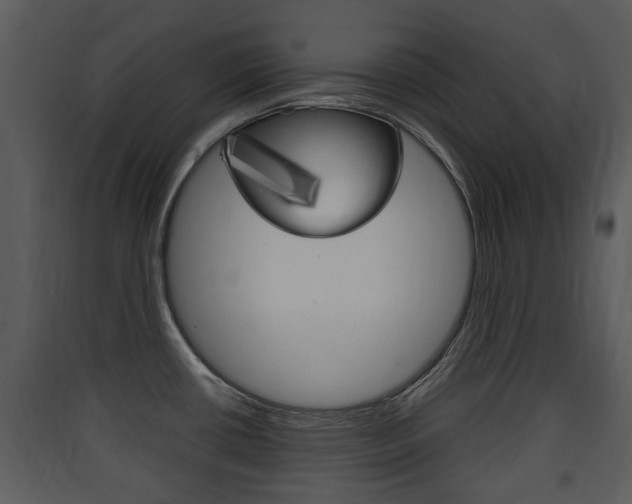 X0000090411434200707130916