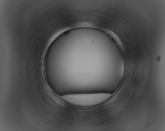 X0000090411435200707130916