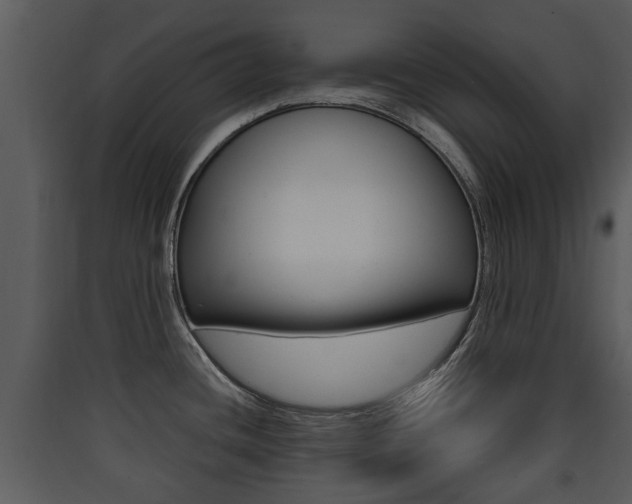 X0000090411436200707130916