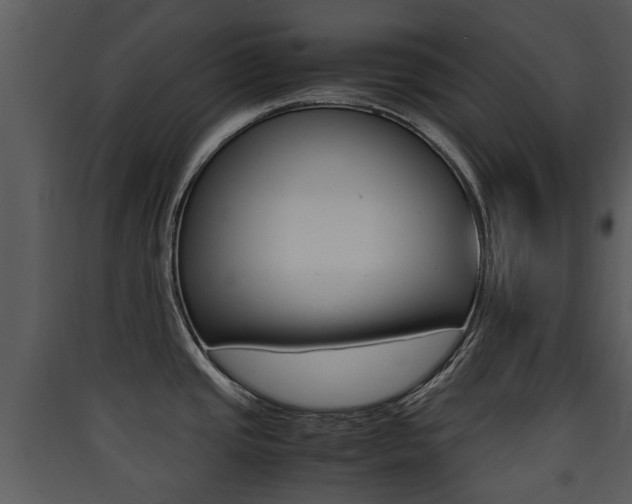 X0000090411437200707130916