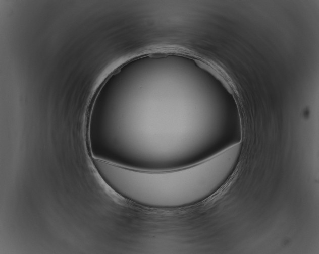 X0000090411438200707130916
