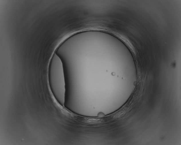 X0000090411439200707130916