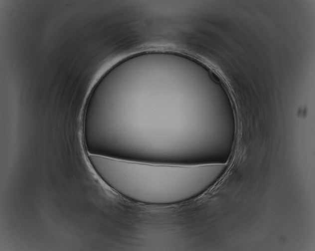 X0000090411440200707130916
