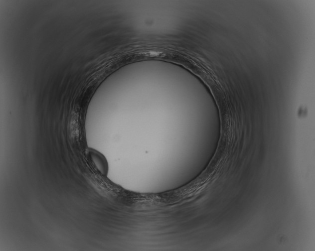 X0000090411442200707130915
