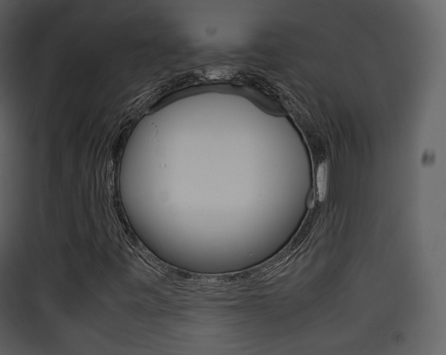 X0000090411443200707130915
