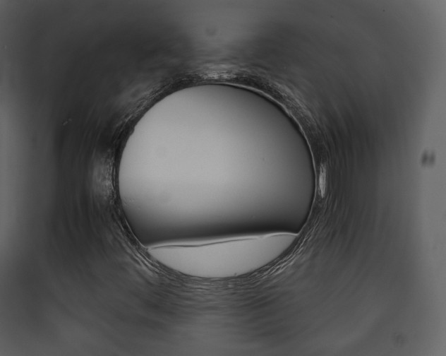X0000090411444200707130915