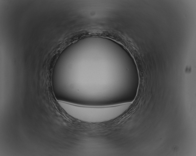 X0000090411445200707130915