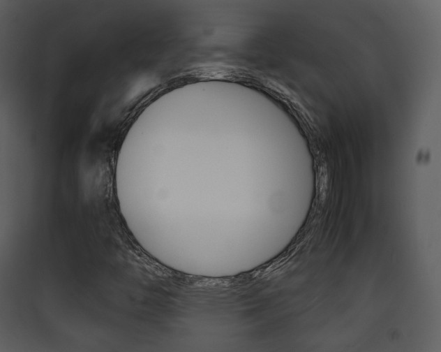 X0000090411446200707130915