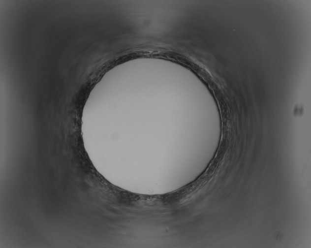 X0000090411447200707130915