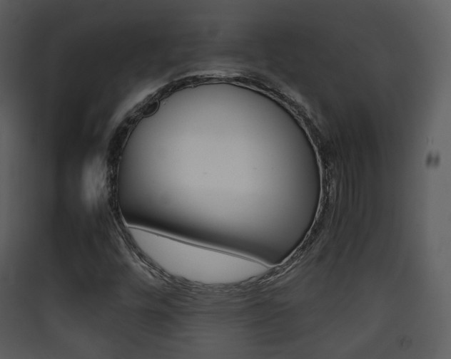 X0000090411448200707130915