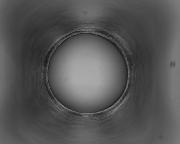 X0000090411449200707130915