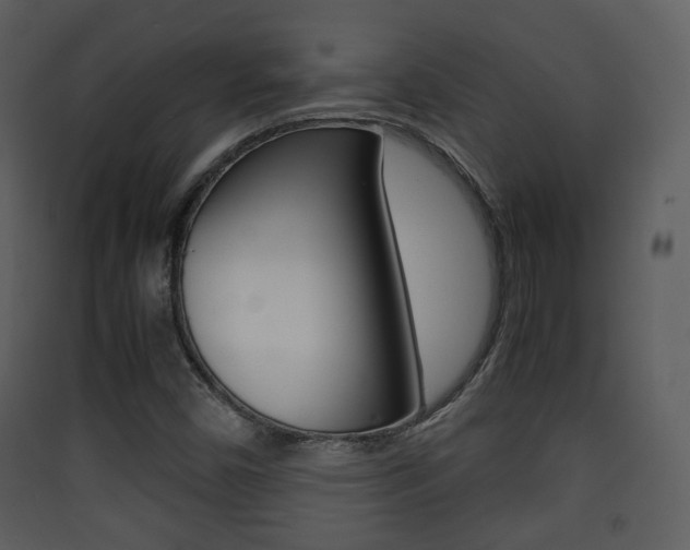 X0000090411450200707130915