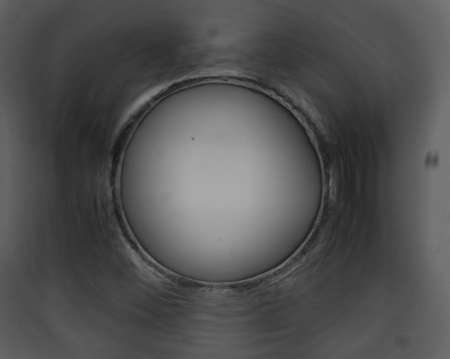 X0000090411452200707130915