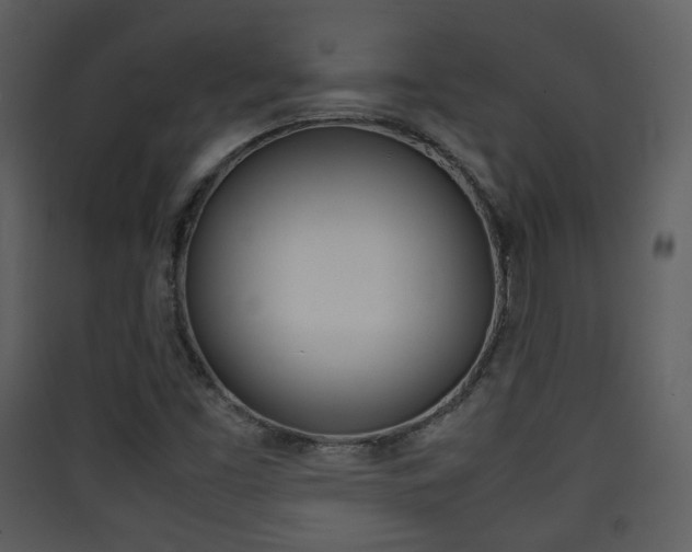 X0000090411453200707130915