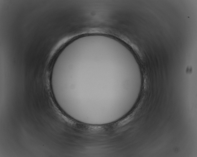 X0000090411454200707130915