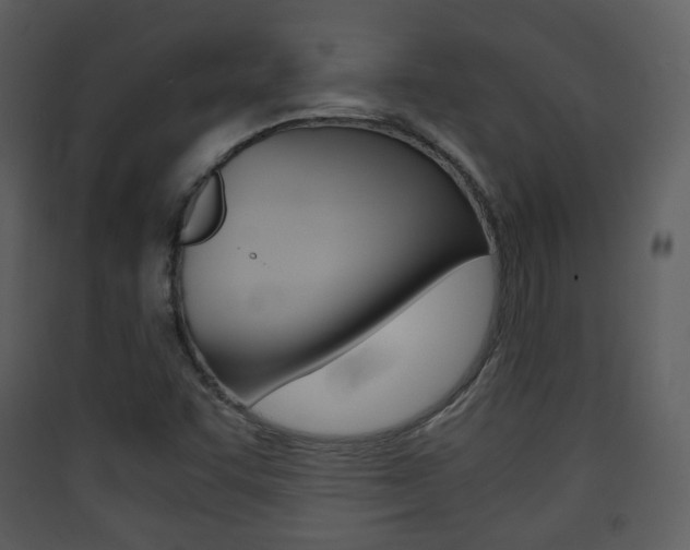 X0000090411455200707130915