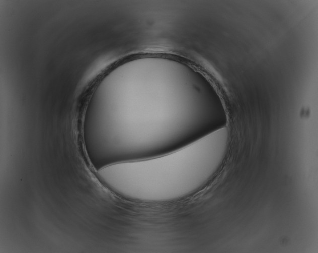 X0000090411456200707130915