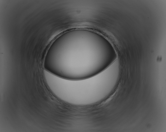 X0000090411457200707130915