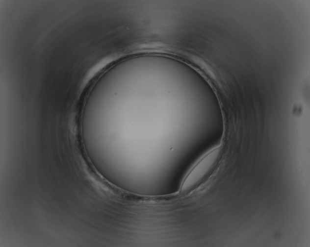 X0000090411458200707130915