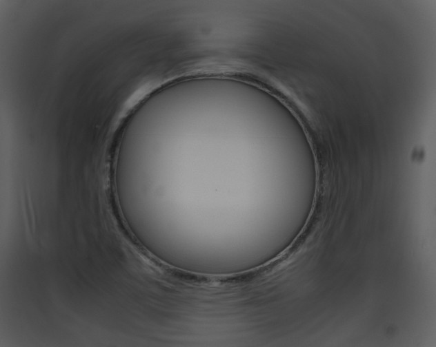 X0000090411459200707130915