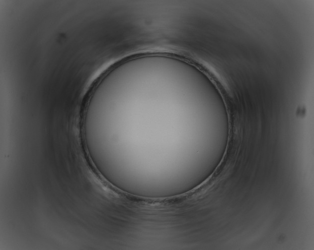 X0000090411460200707130915
