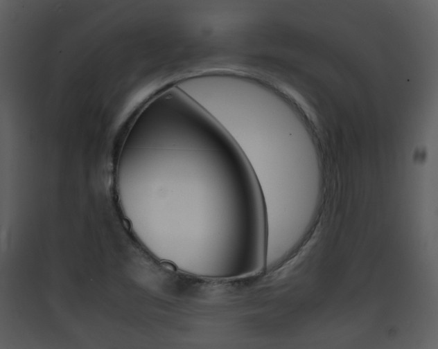 X0000090411461200707130915