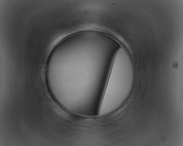X0000090411463200707130915