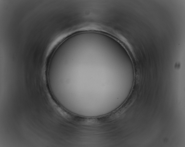 X0000090411464200707130915
