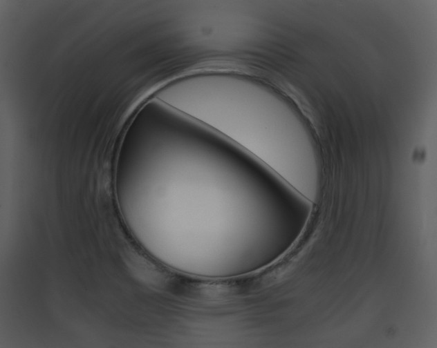 X0000090411465200707130915