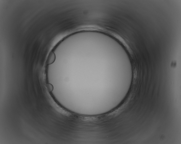 X0000090411466200707130915