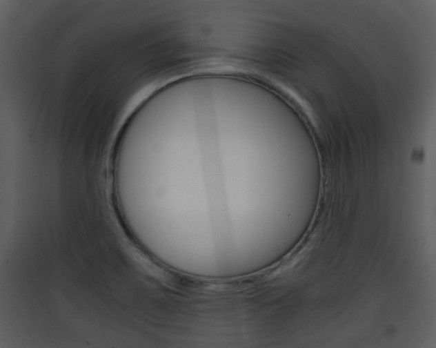 X0000090411467200707130915