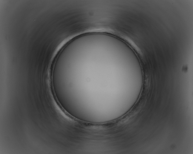 X0000090411468200707130915
