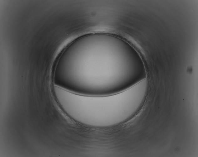 X0000090411469200707130915