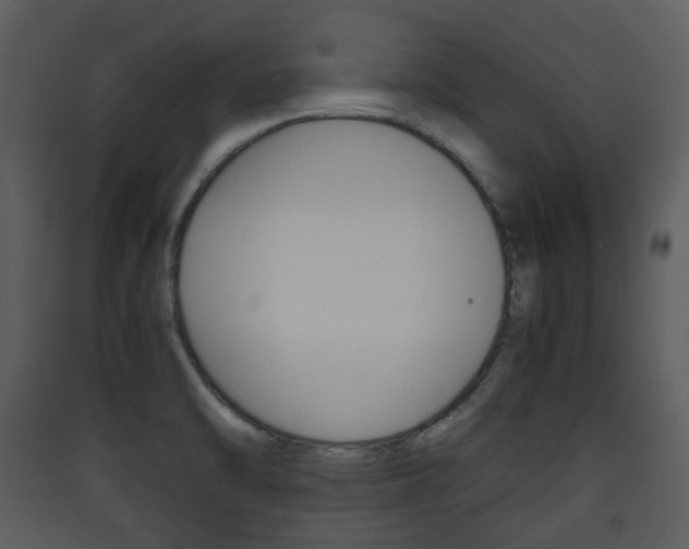 X0000090411470200707130915