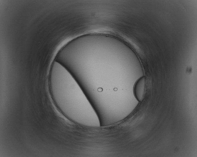X0000090411471200707130915