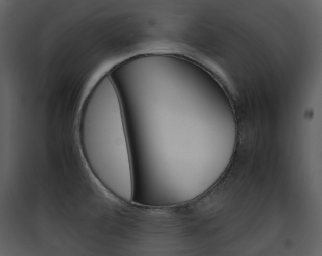 X0000090411472200707130915