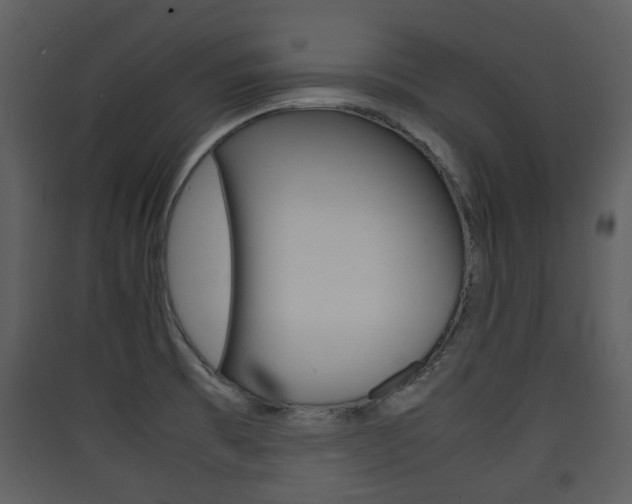 X0000090411473200707130915